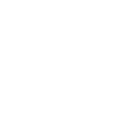 Github Logo - View our Github!